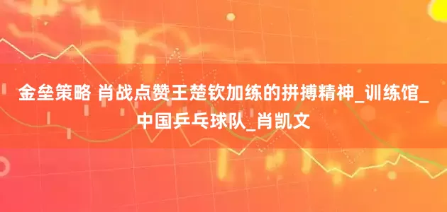 金垒策略 肖战点赞王楚钦加练的拼搏精神_训练馆_中国乒乓球队_肖凯文
